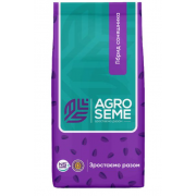 Насіння соняшника HCX 8005 Насіння соняшника HCX 8005